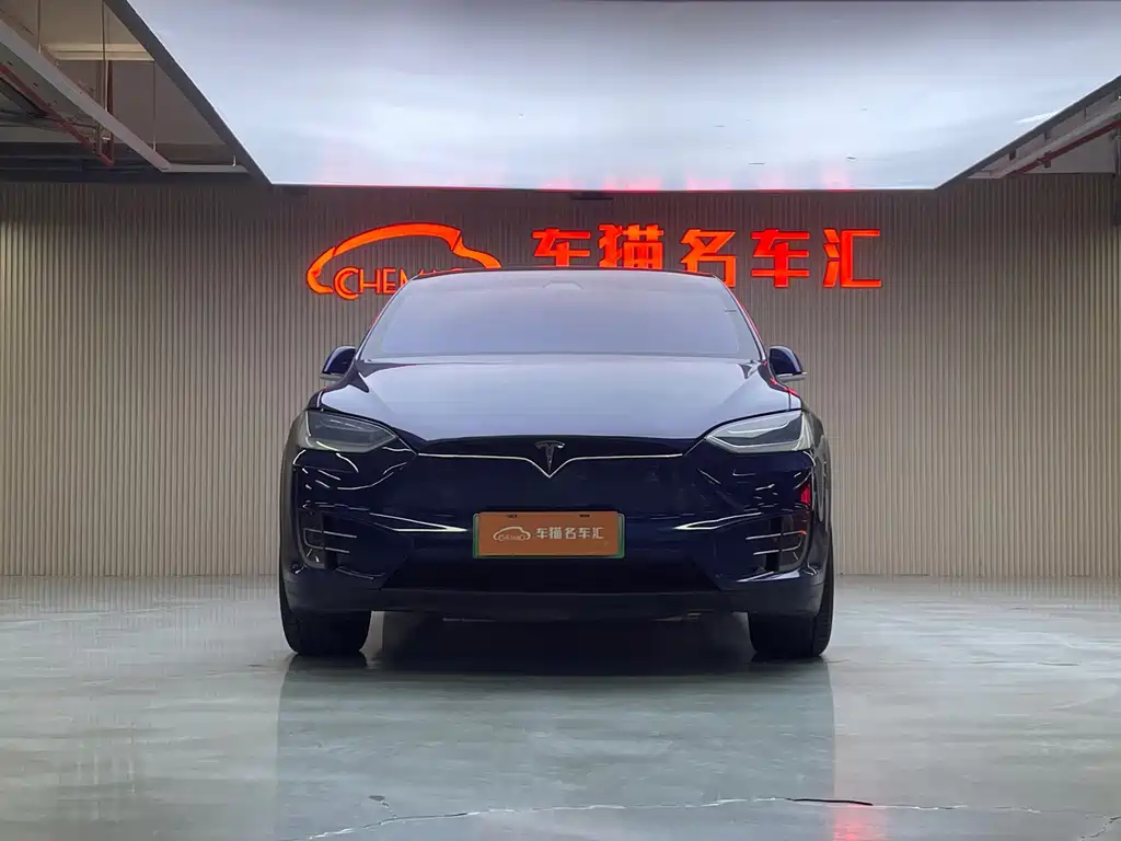 Tesla Model X 2017 — фото 2