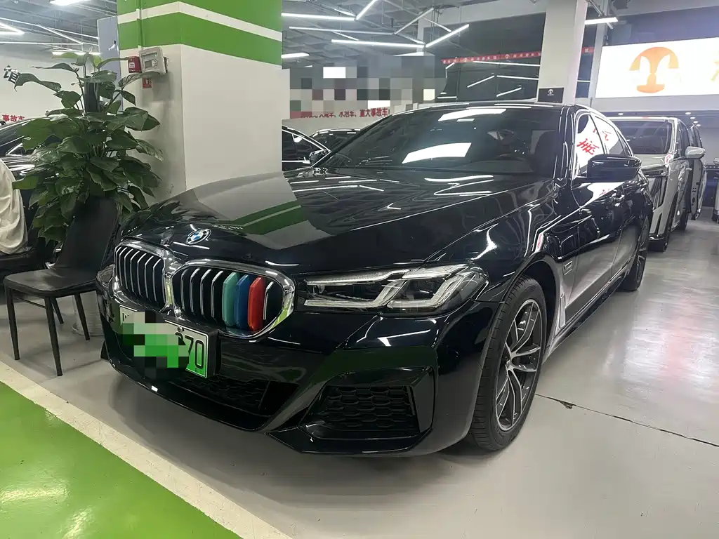 BMW 5 Series New Energy 2022