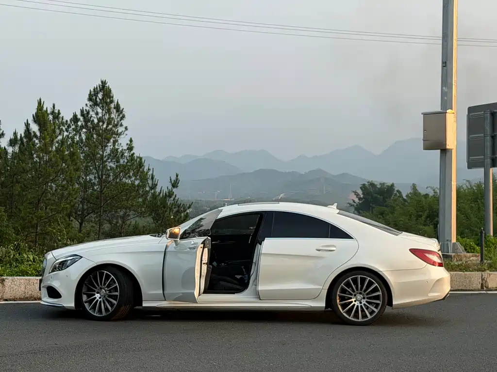 Mercedes-Benz CLS 2017 — фото 16