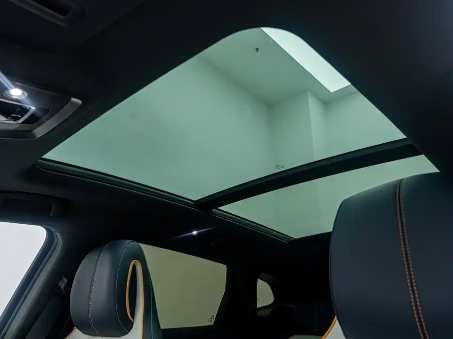 BYD Song PLUS New Energy 2024 — фото 19