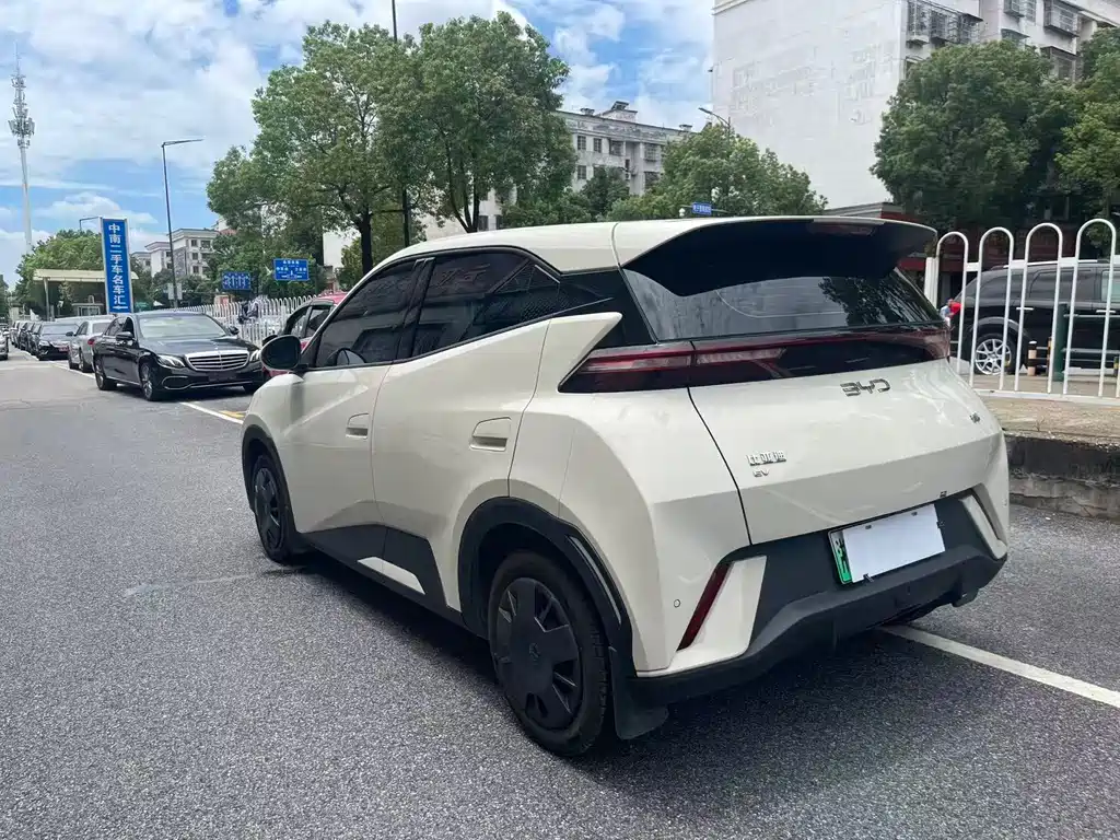 BYD Seagull 2024