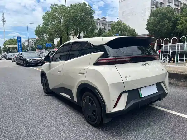 BYD Seagull 2024