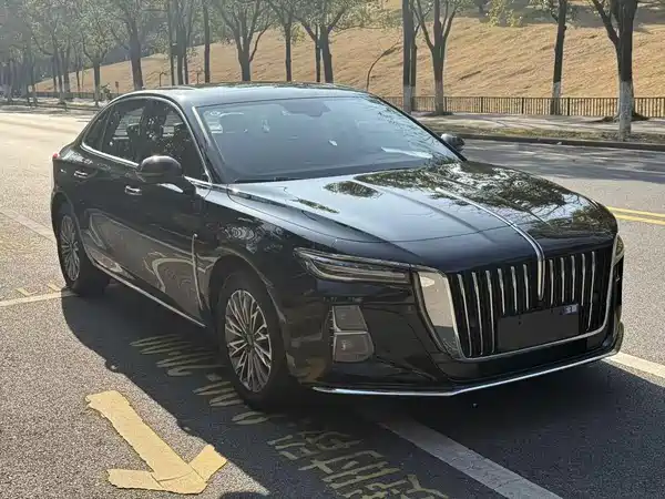 Hongqi H5 2023