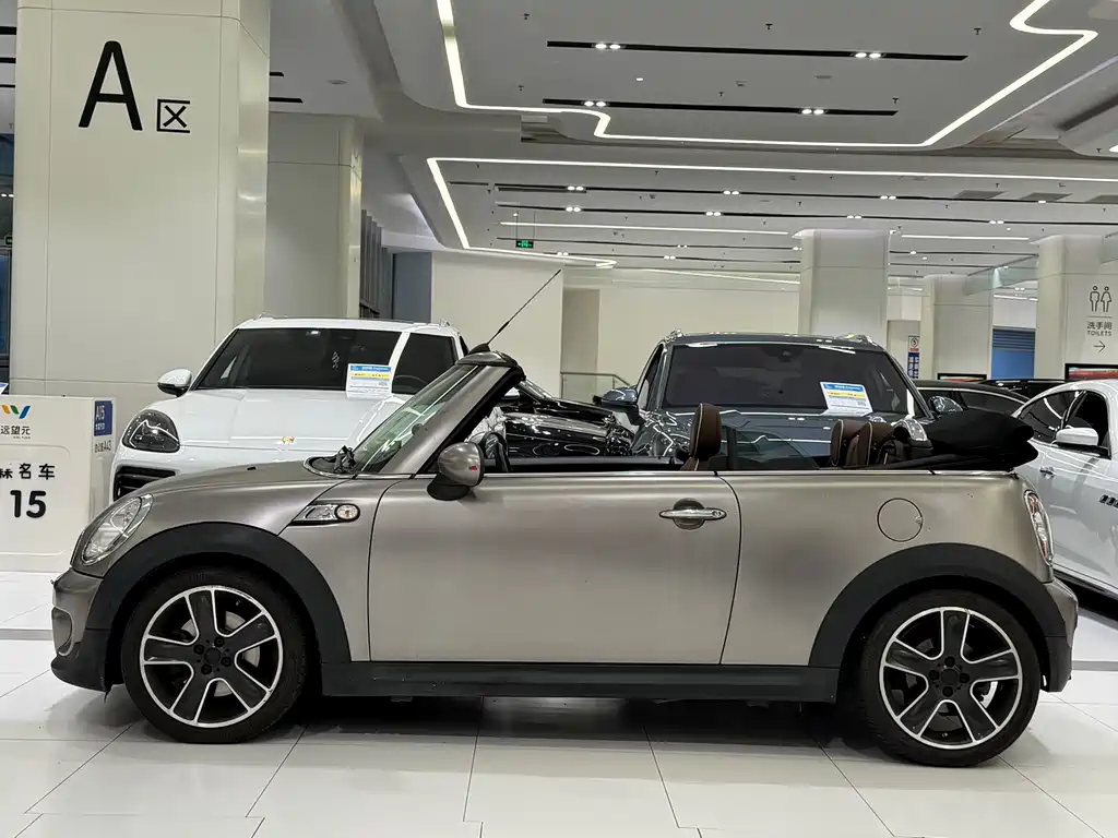 MINI MINI 2012