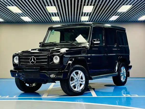 Mercedes-Benz G-Class 2010
