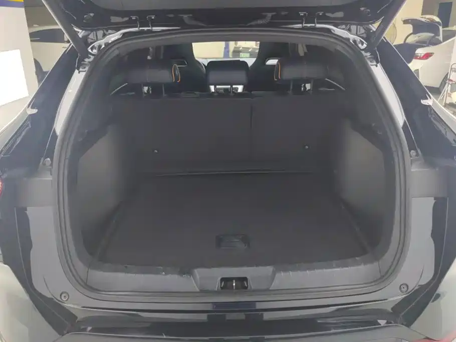 BYD Song PLUS New Energy 2023 — фото 4