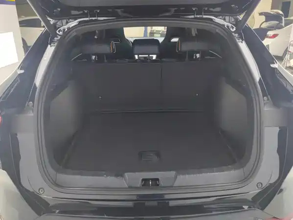 BYD Song PLUS New Energy 2023