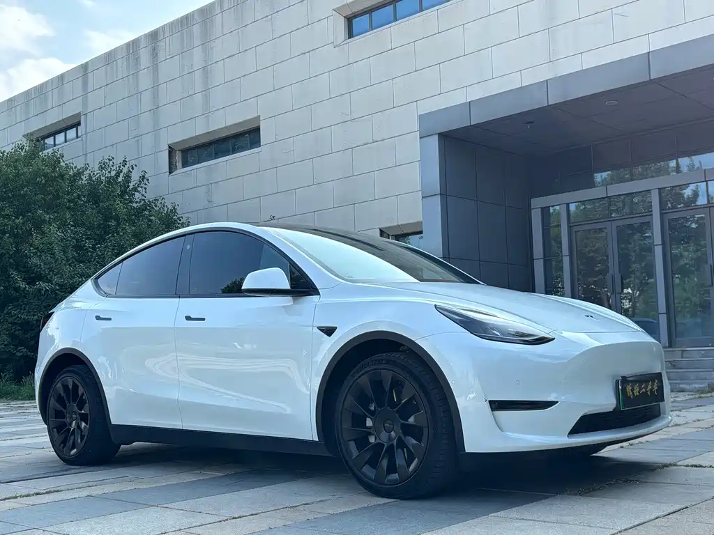 Tesla Model Y 2021 — фото 6