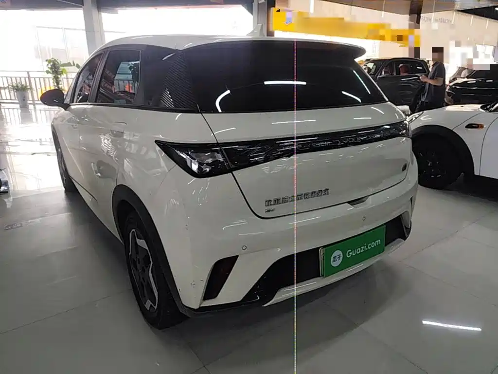 BYD Dolphin 2022