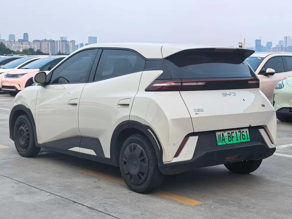 BYD Seagull 2024