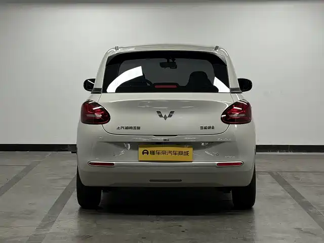 Wuling Bingo 2024