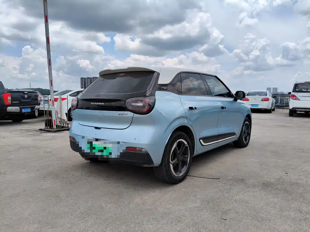 Dongfeng Nano 01 2024