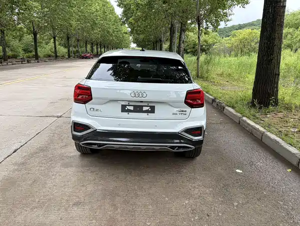 Audi Q2L 2022