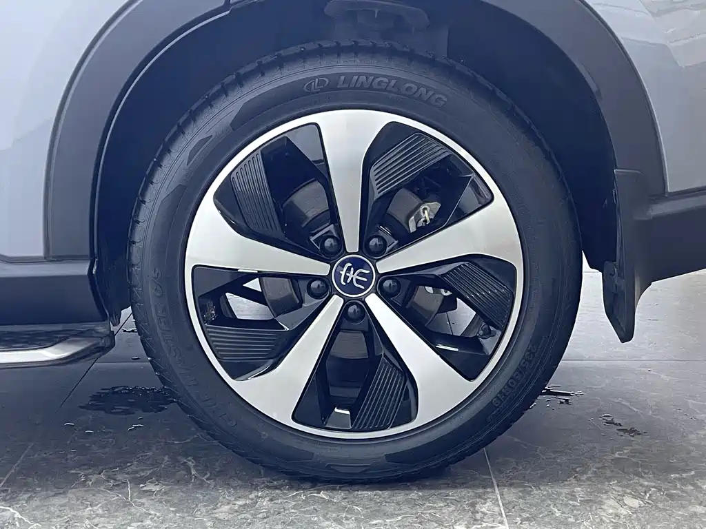BYD PLUS New Energy 2023 — фото 8