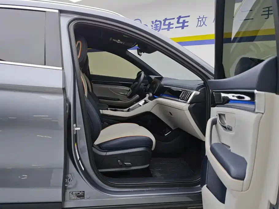 BYD Song PLUS New Energy 2024 — фото 8