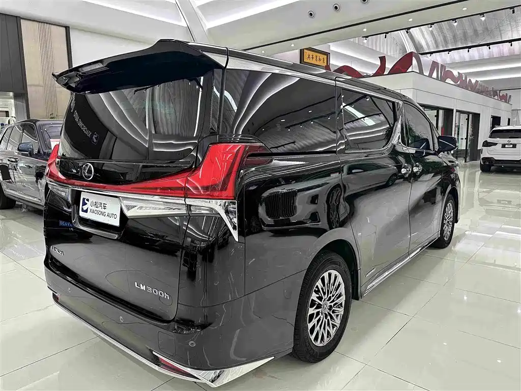 Lexus LM 2023 — фото 19