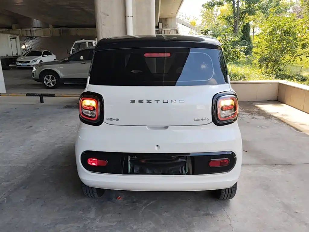 Bestune Pony 2024