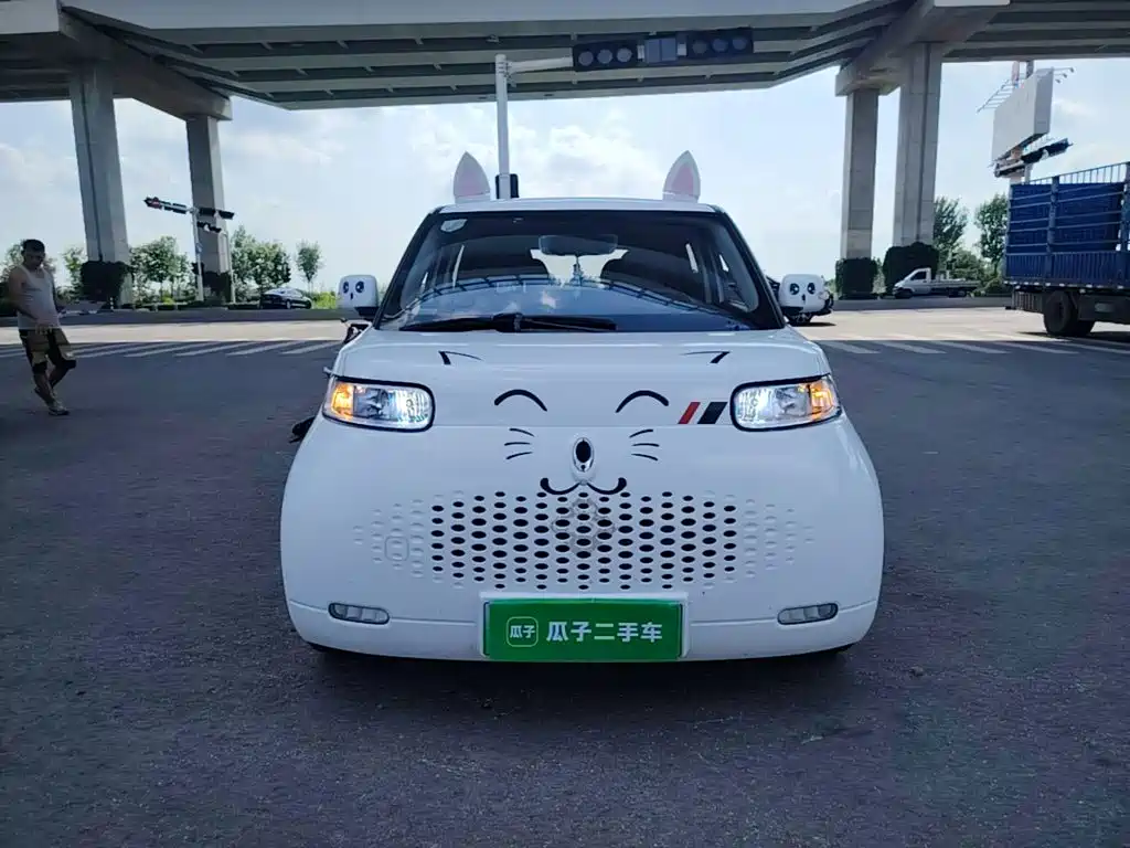Ora White Cat 2021
