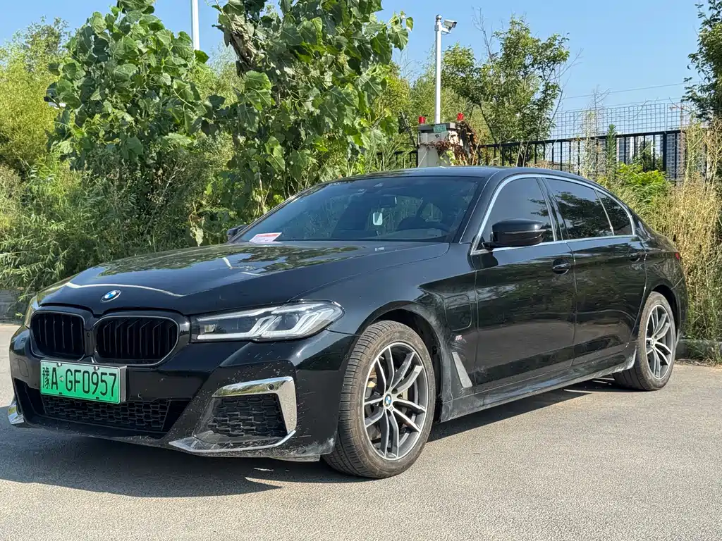 BMW 5 Series New Energy 2021
