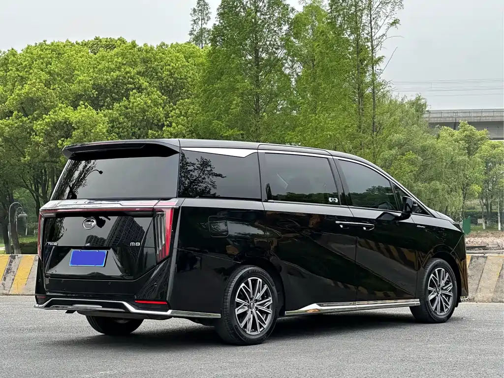 GAC Motor Trumpchi M8 2023 — фото 25