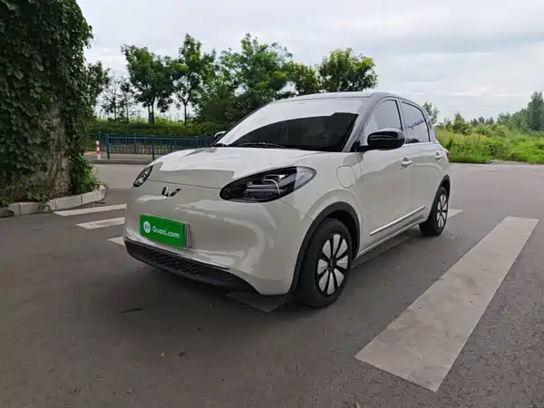 Wuling Bingo 2024