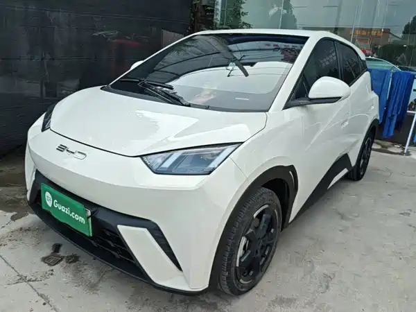 BYD Seagull 2024