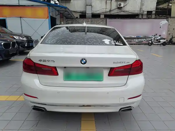 BMW 5 Series New Energy 2020