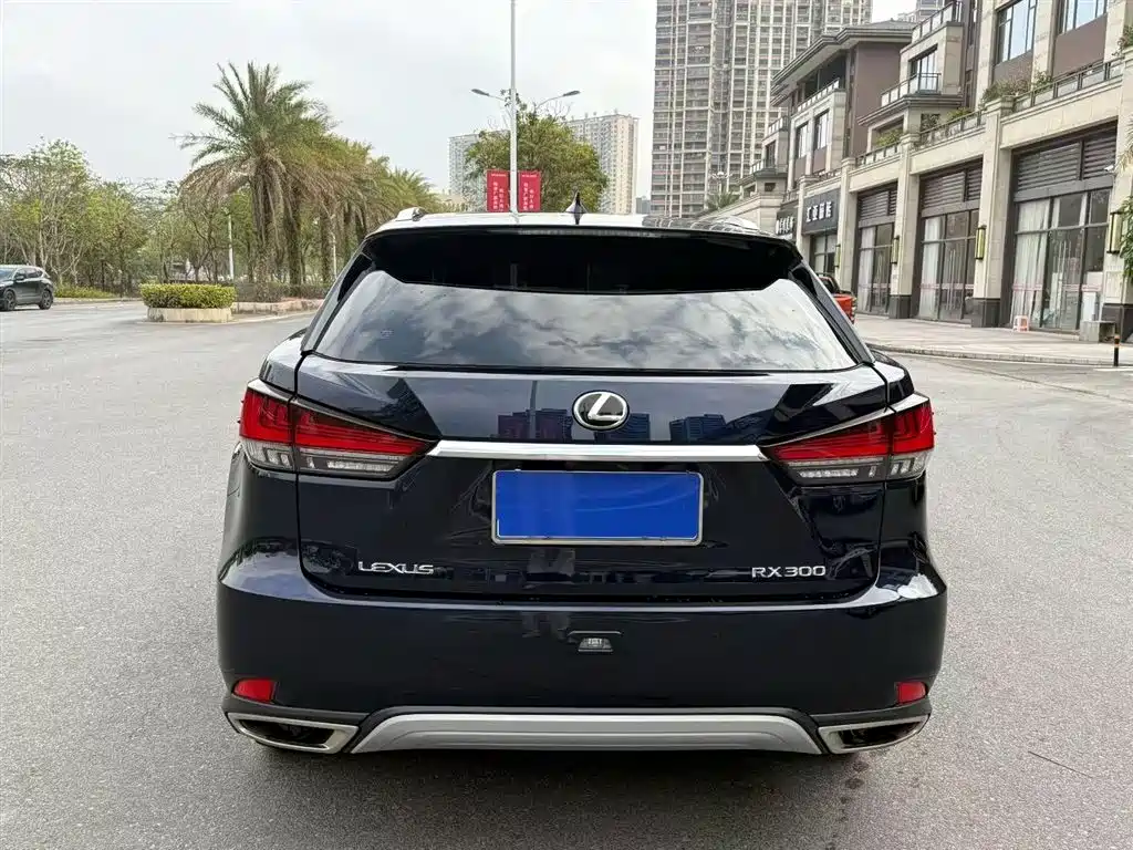 Lexus RX 2022 — фото 7