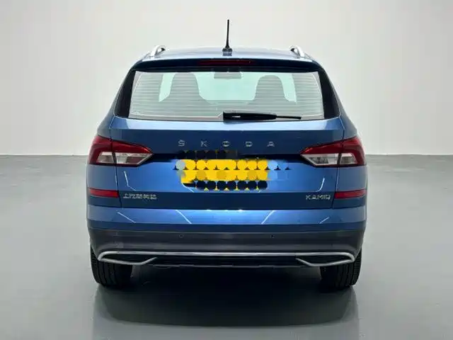 Skoda Kamiq 2019 — фото 16