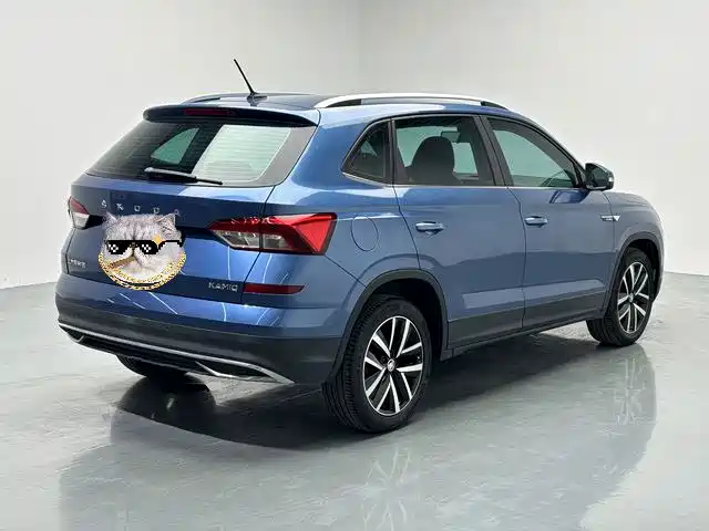 Skoda Kamiq 2019 — фото 17