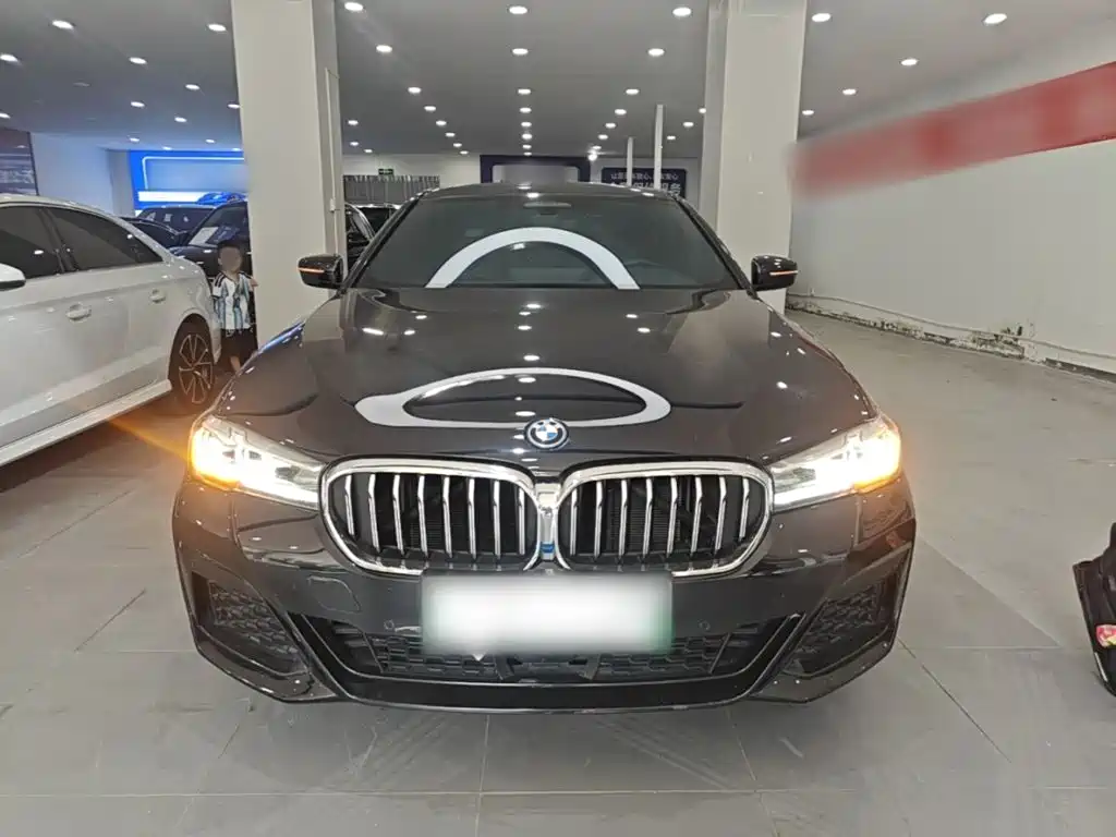 BMW 5 Series New Energy 2023