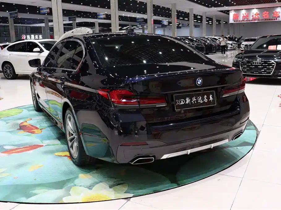 BMW 5 Series New Energy 2023