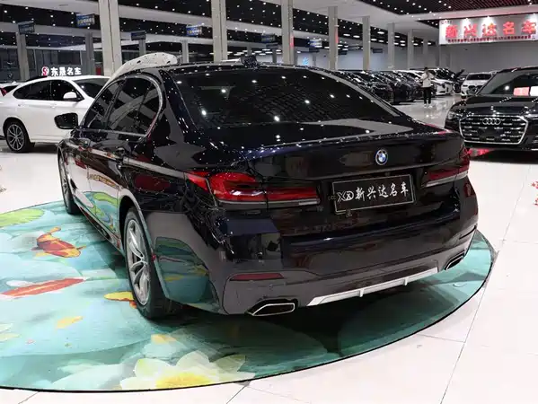 BMW 5 Series New Energy 2023