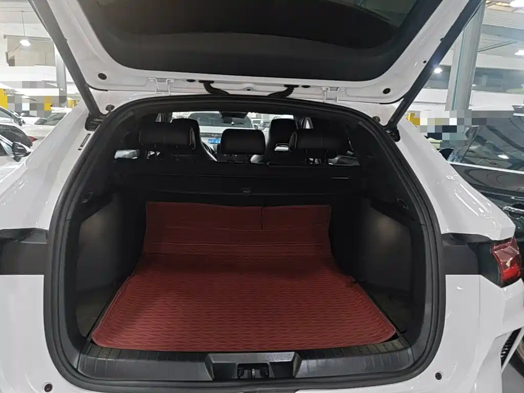 BYD PLUS New Energy 2024 — фото 19