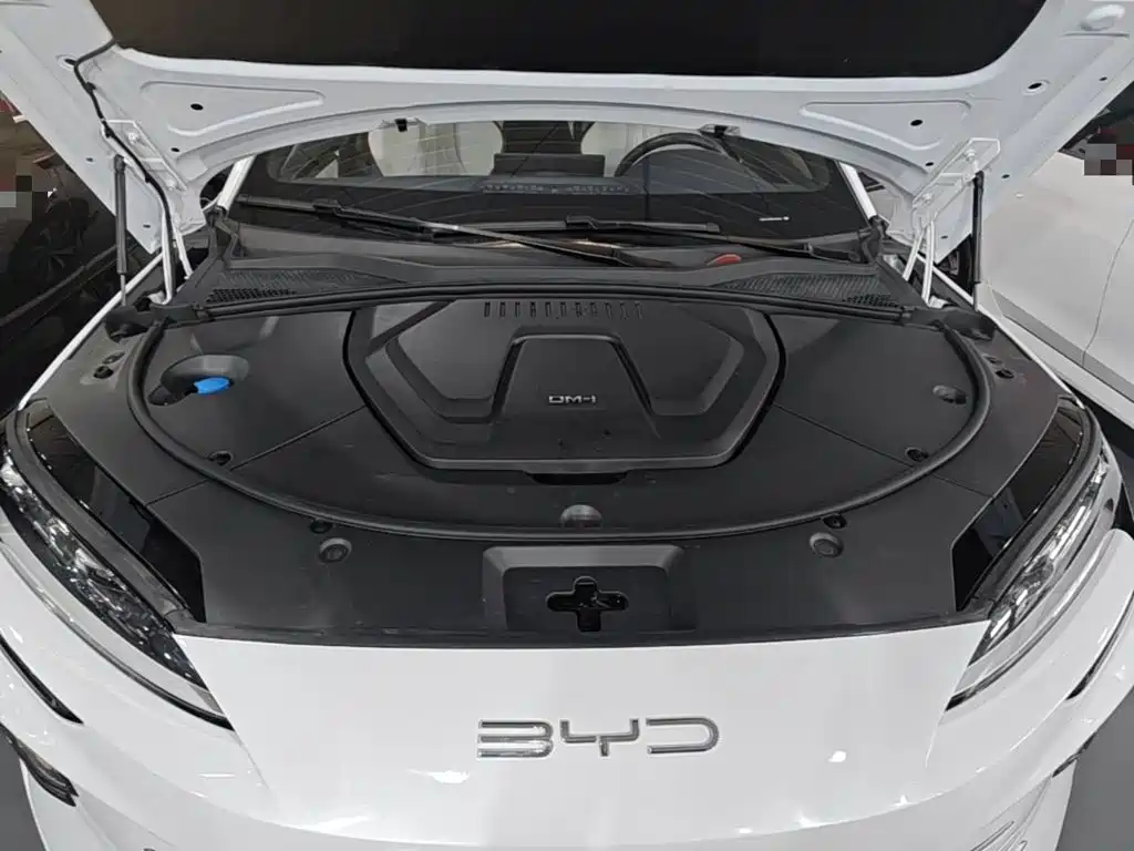 BYD PLUS New Energy 2024 — фото 20
