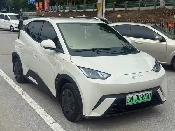 BYD Seagull 2025
