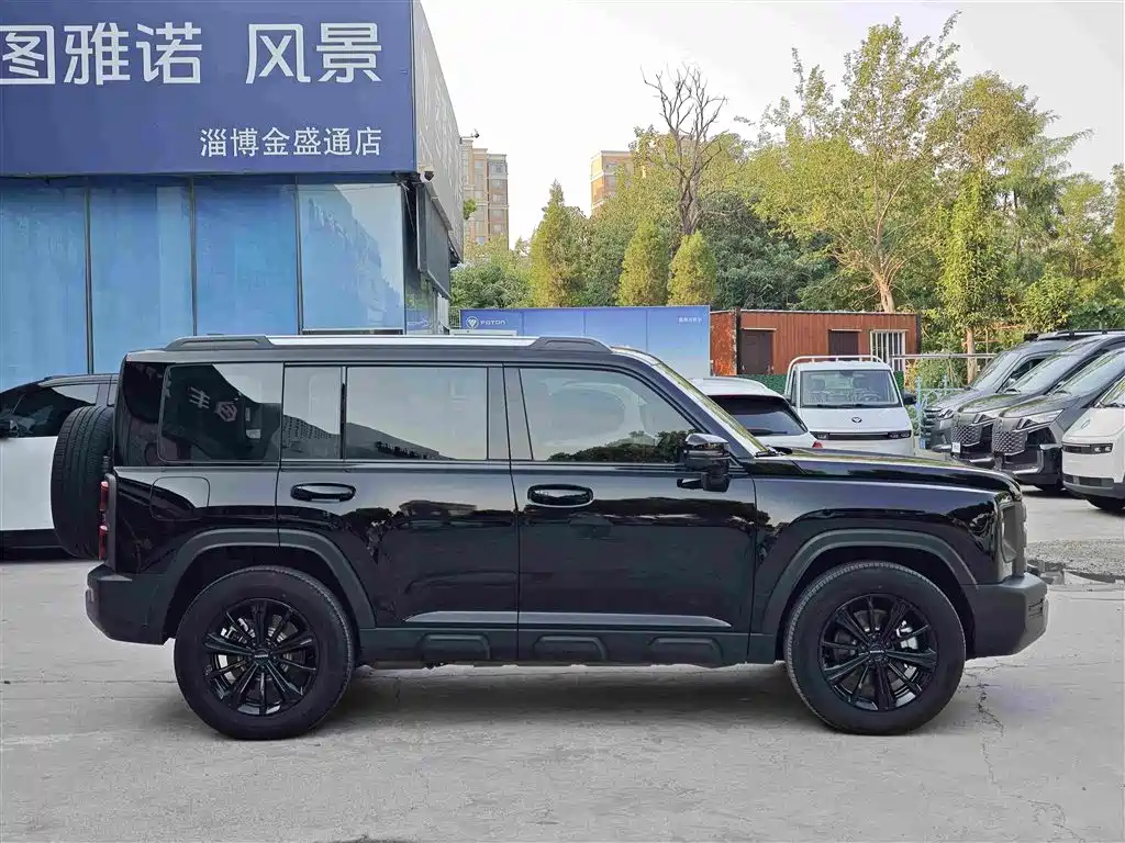 Haval Menglong New Energy 2025