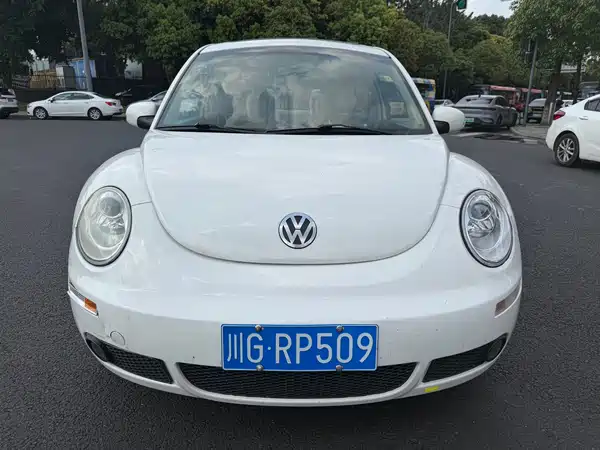 Volkswagen Beetle 2010