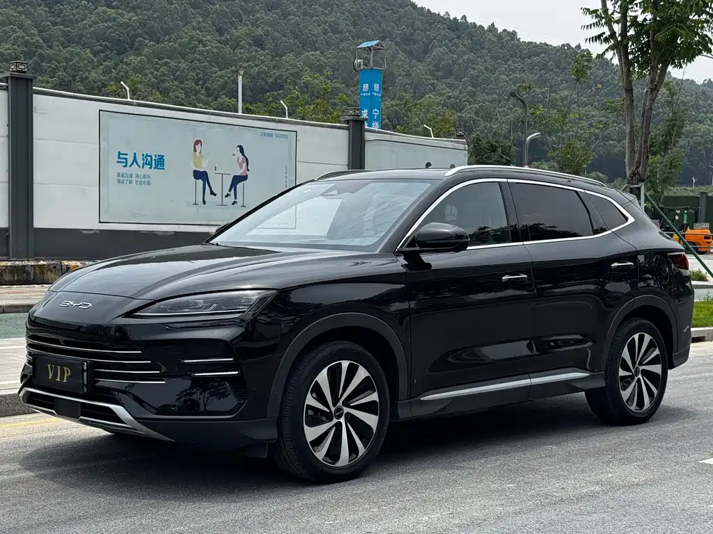 BYD Song PLUS New Energy 2024 — фото 1