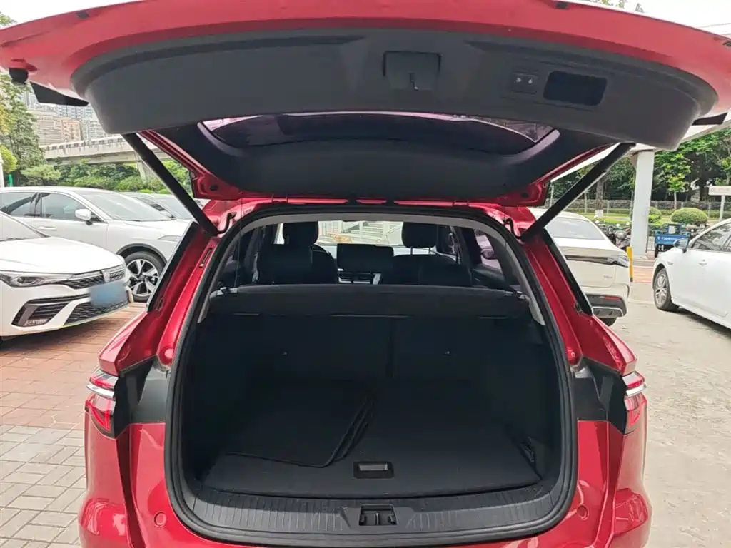BYD Pro New Energy 2019 — фото 19
