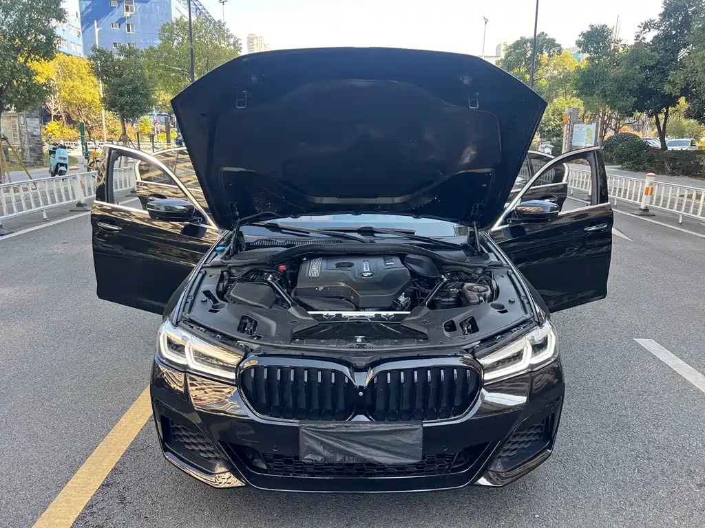 BMW 5 Series 2018 — фото 9