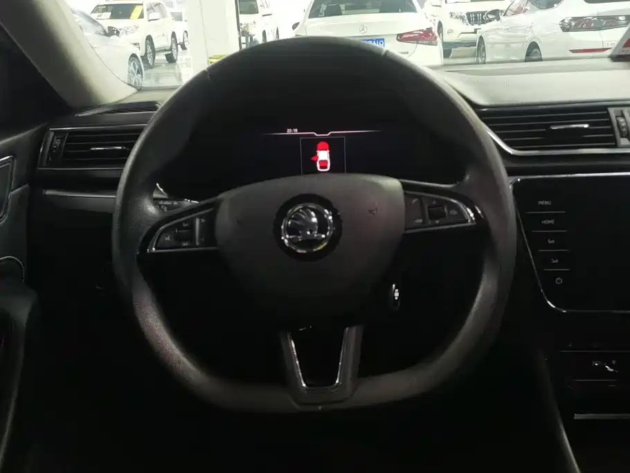 Skoda Speedy 2021 — фото 15