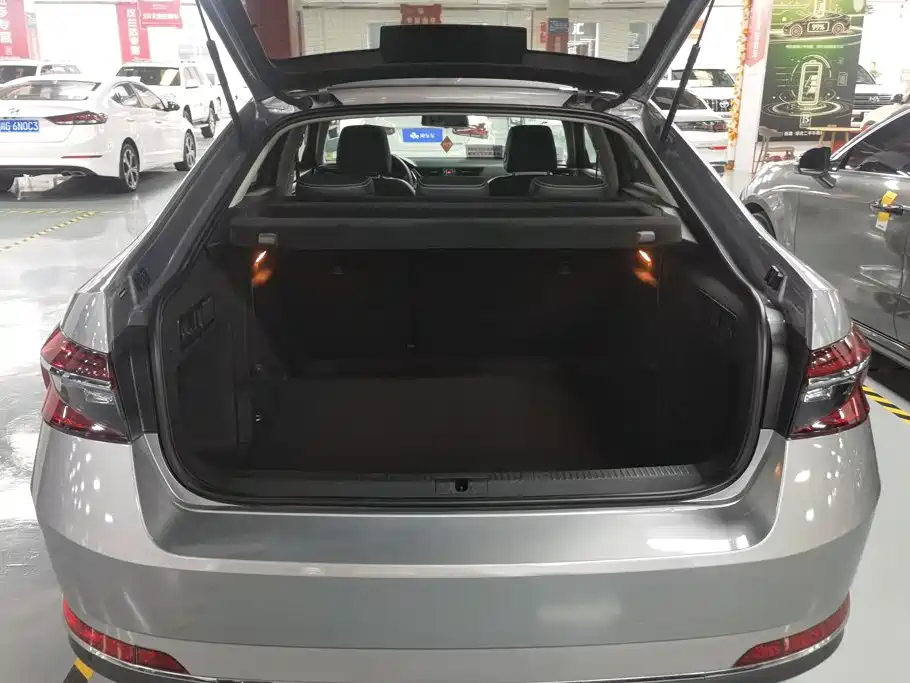 Skoda Speedy 2021