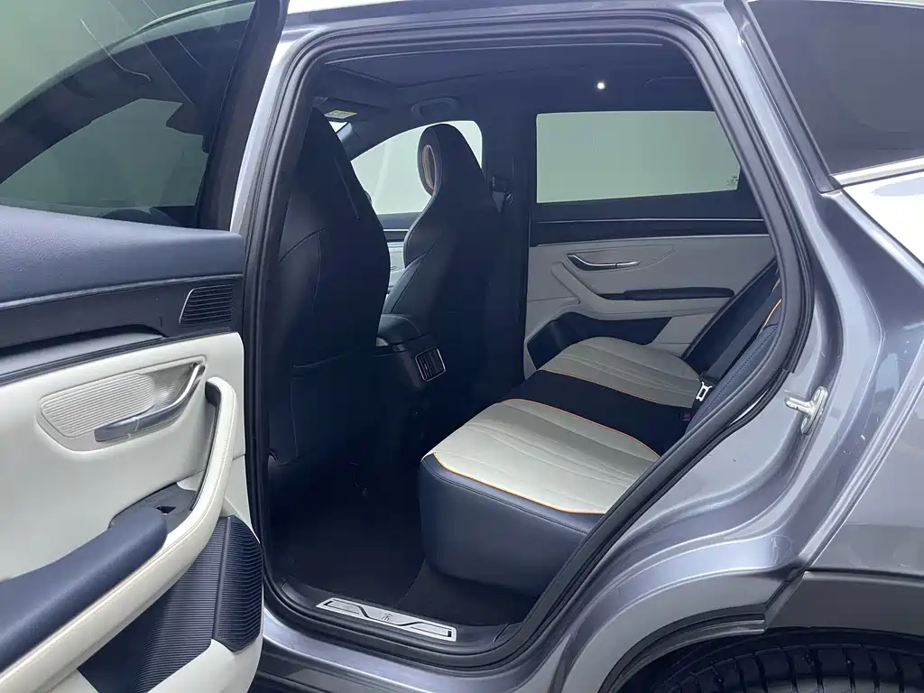 BYD PLUS New Energy 2023 — фото 12