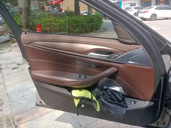 BMW 5 Series New Energy 2020