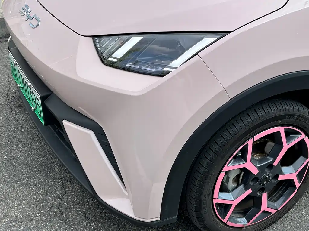 BYD Seagull 2024