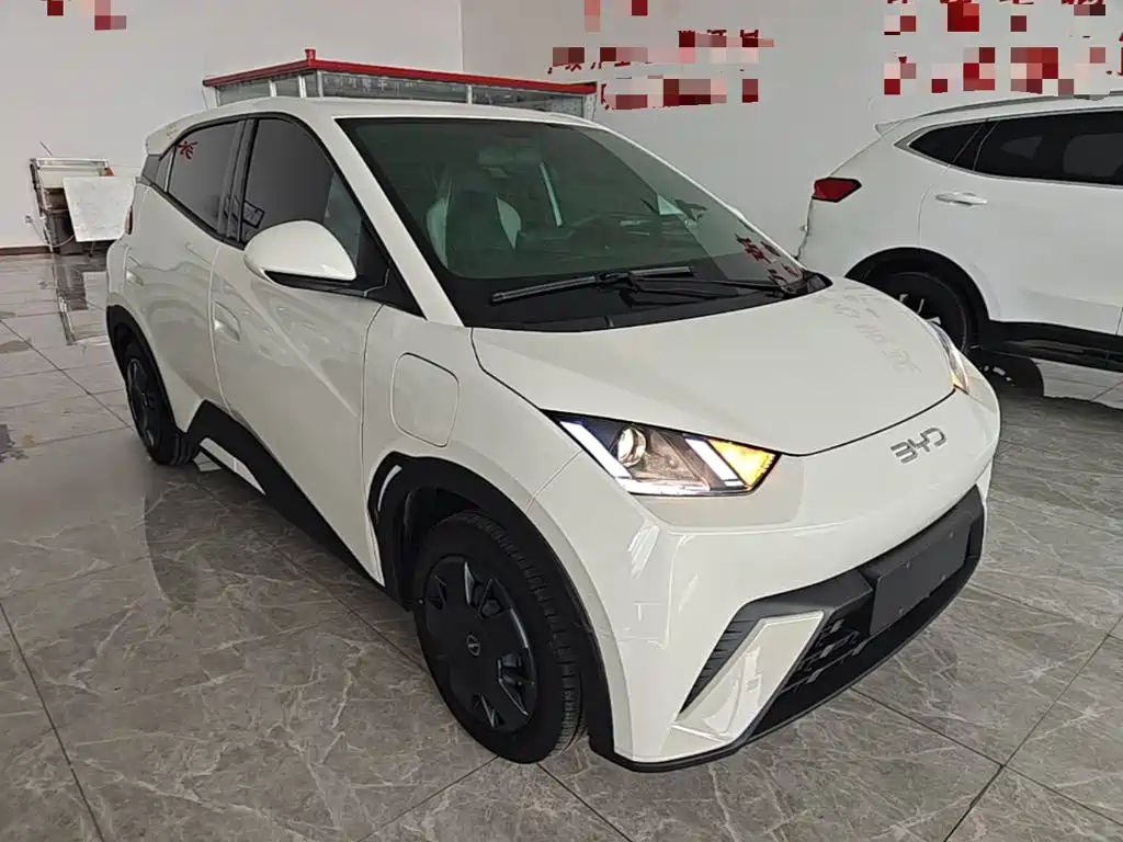 BYD Seagull 2024