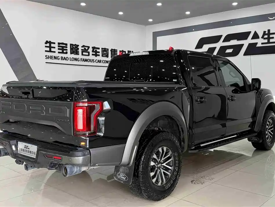 Ford F-150 Raptor 2019 — фото 4