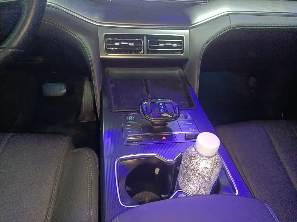 BYD L DM-i 2025 — фото 14