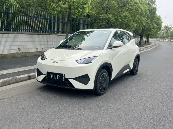 BYD Seagull 2025